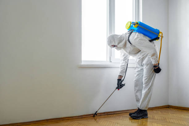 Pest Prevention Services in Polson, MT