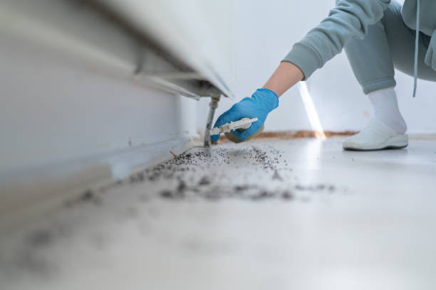 Best Commercial Pest Control Services  in Polson, MT